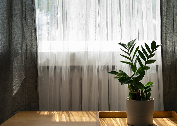 ZEBRA / STOR PERDE YIKAMA